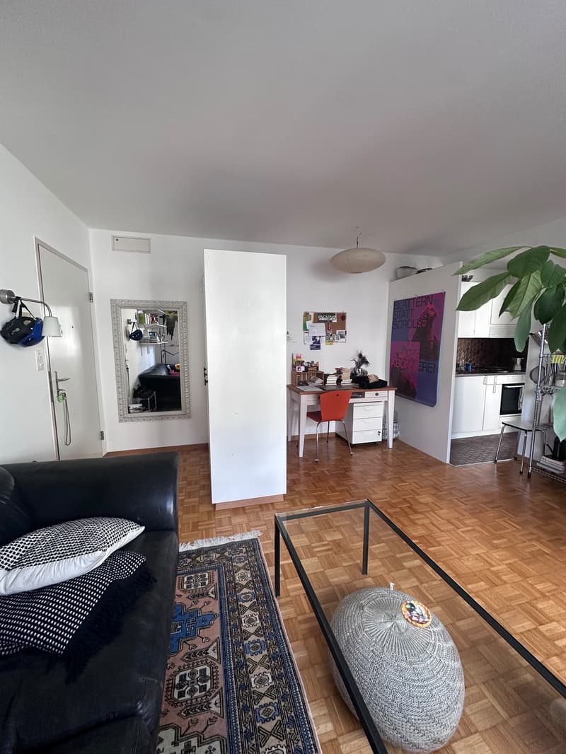 Bello appartamento di 1,5 locali a Wipkingen (2)