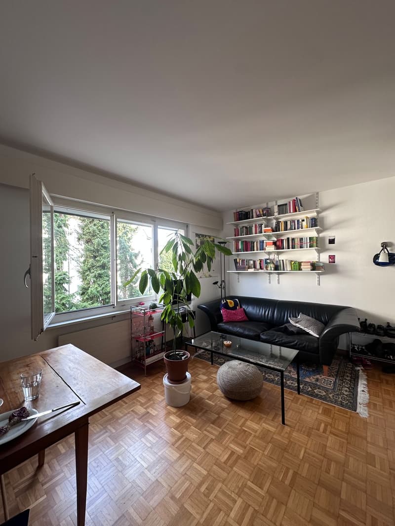 Bello appartamento di 1,5 locali a Wipkingen (1)