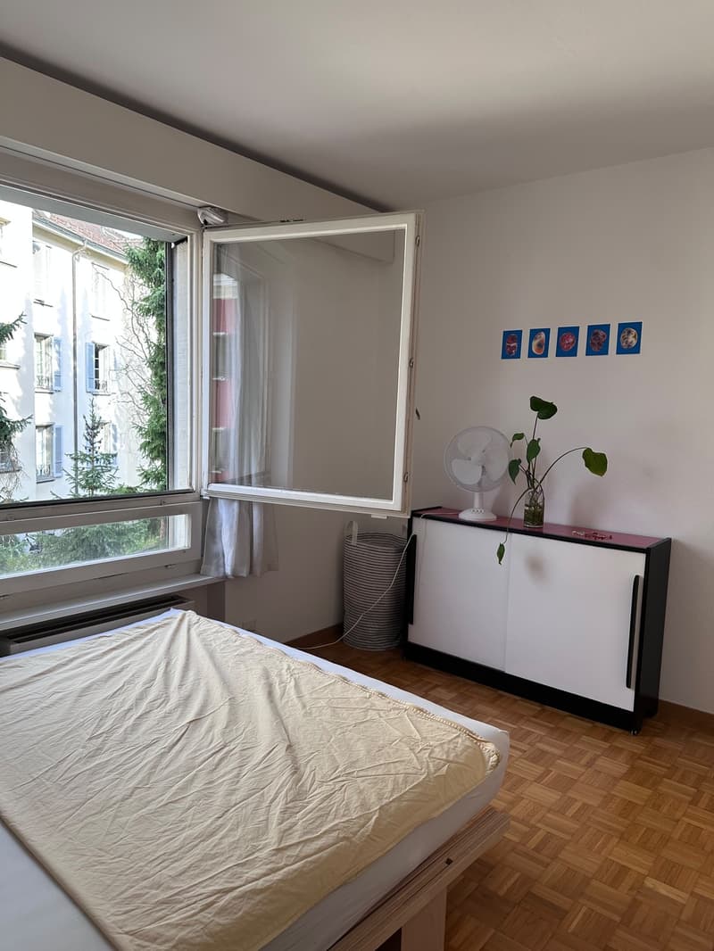 Bello appartamento di 1,5 locali a Wipkingen (5)