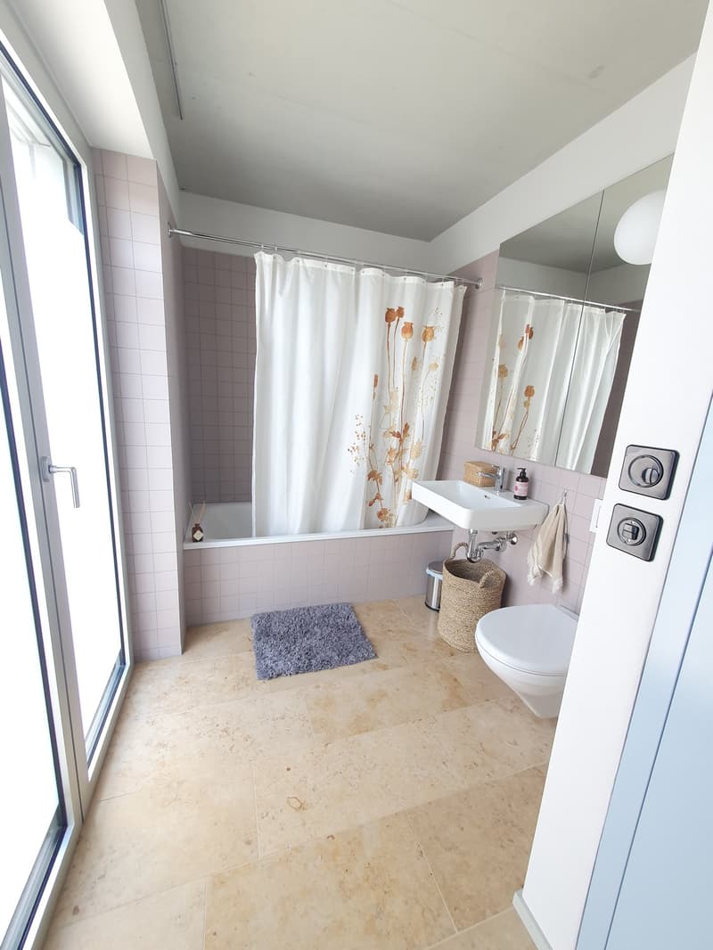 Beautiful apartment for sublet (9 months) (5)