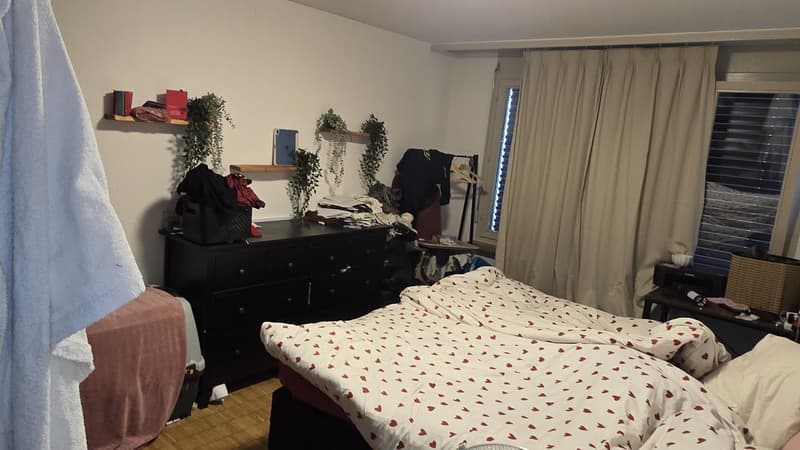 Ampio appartamento di 4 1/2 locali (1)