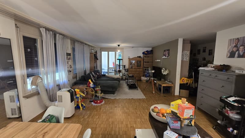 Ampio appartamento di 4 1/2 locali (5)