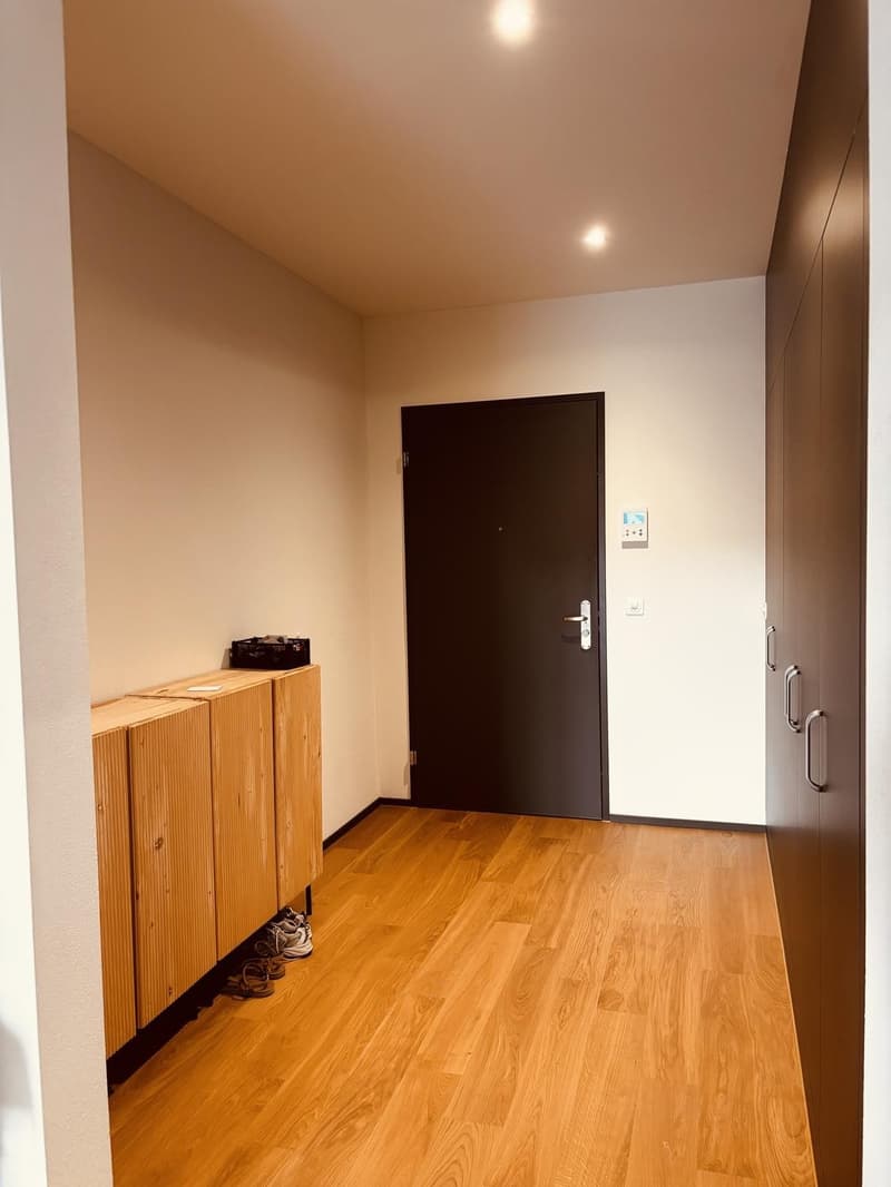 Moderne 2.5-Zimmer Wohnung im Grünen & 11 Min. bis Zürich-City! (12)