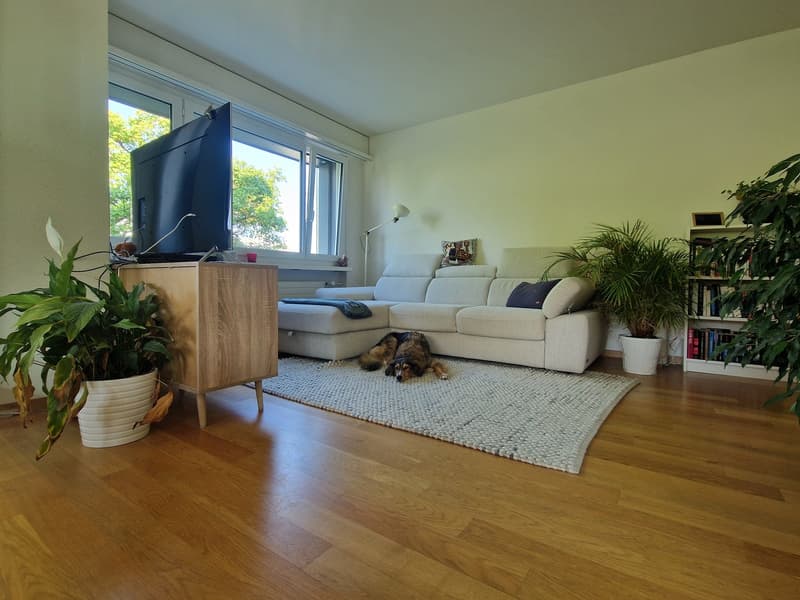 Helle WG mit Waldblick in Witikon | Hund willkommen (1)
