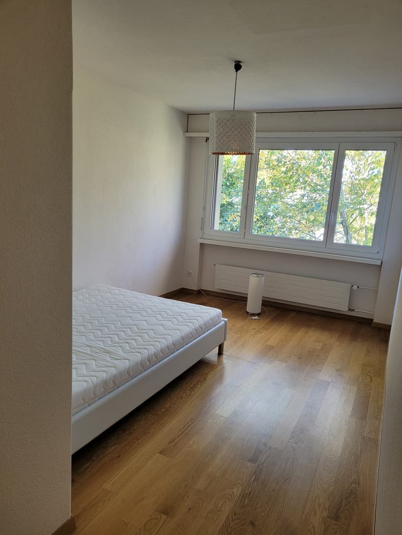 Helle WG mit Waldblick in Witikon | Hund willkommen (3)