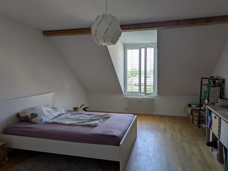 Appartement meublé de 2,5 pièces avec galerie à Länggass (près d'Inselspital) (6)