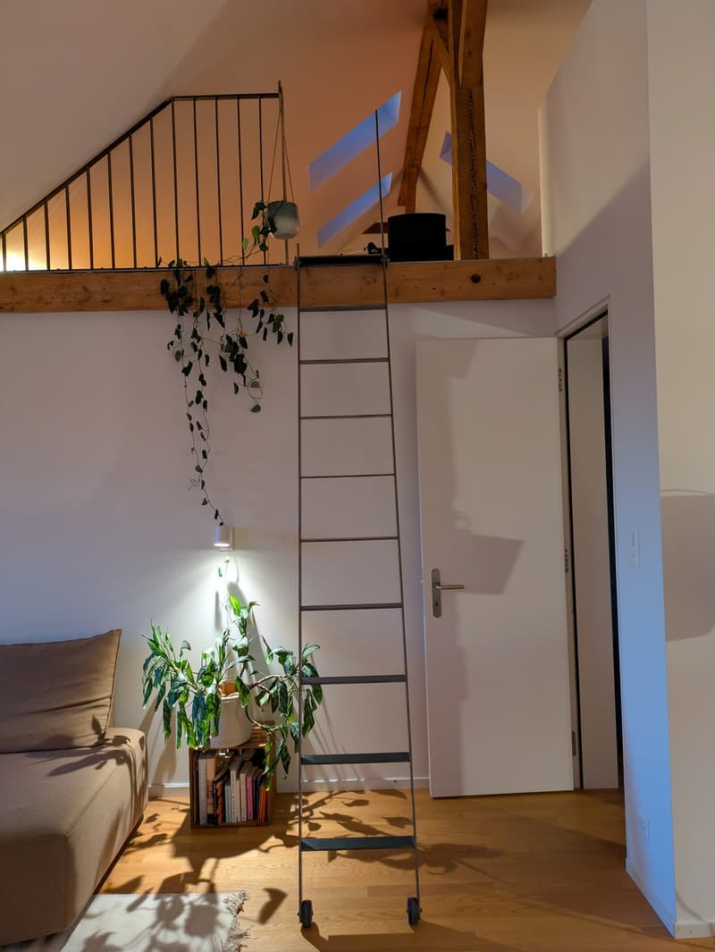 Appartement meublé de 2,5 pièces avec galerie à Länggass (près d'Inselspital) (2)