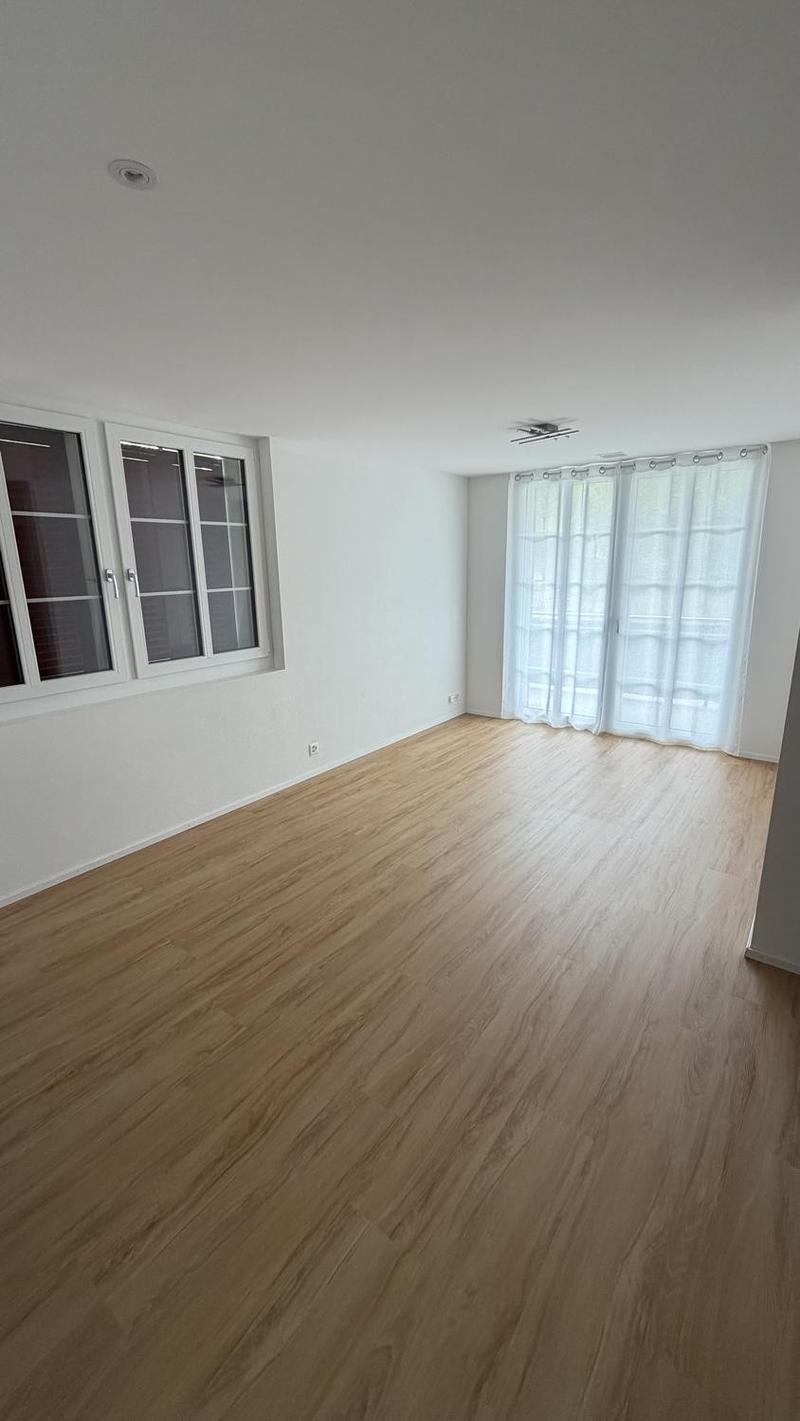 Appartamento moderno 3 locali (10)