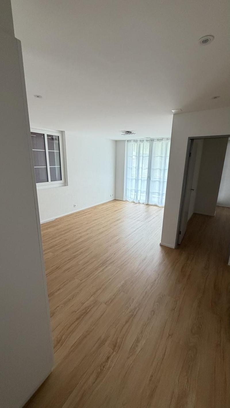 Appartamento moderno 3 locali (5)