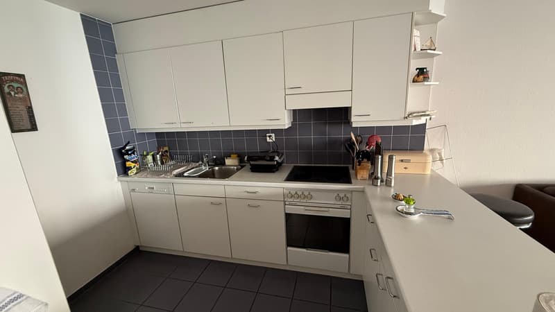 Spacious and newly renovated 3.5 rooms flat (Stauffacher) (5)