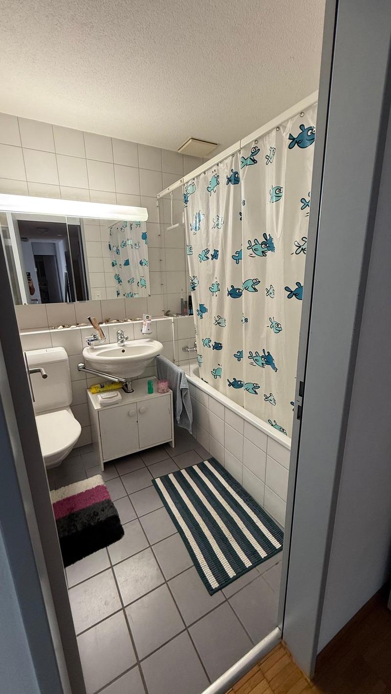 Spacious and newly renovated 3.5 rooms flat (Stauffacher) (8)