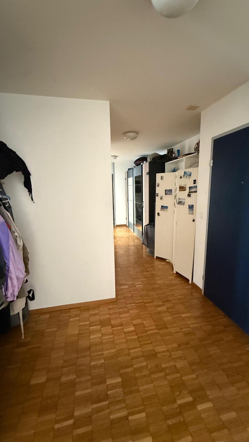 Spacious and newly renovated 3.5 rooms flat (Stauffacher) (1)