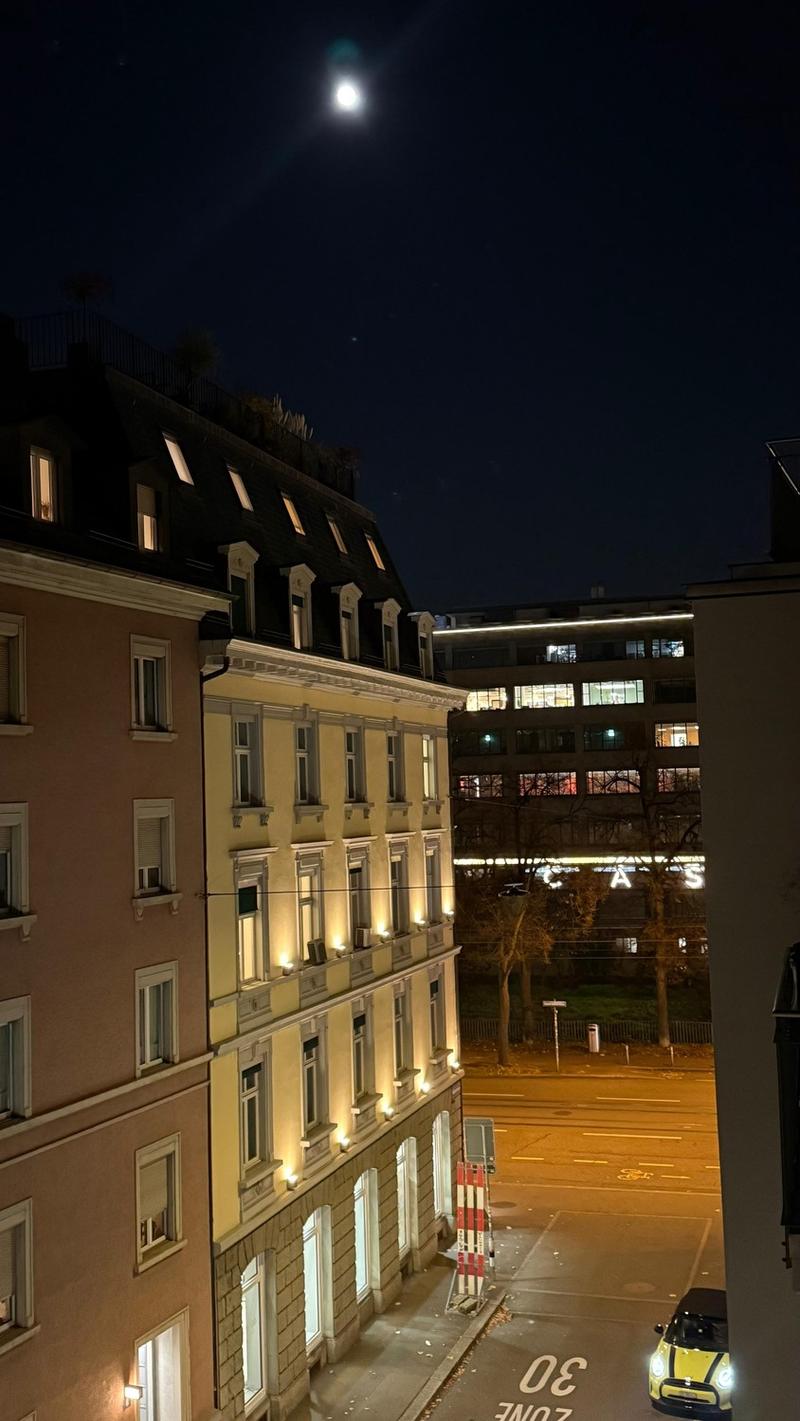 Spacious and newly renovated 3.5 rooms flat (Stauffacher) (10)