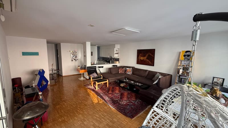Spacious and newly renovated 3.5 rooms flat (Stauffacher) (3)