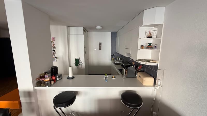 Spacious and newly renovated 3.5 rooms flat (Stauffacher) (4)