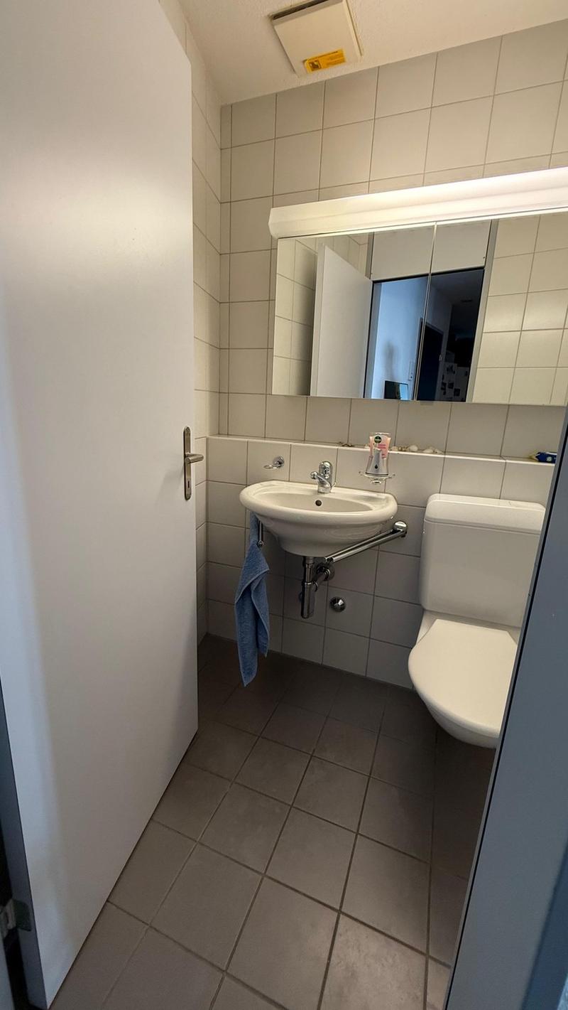 Spacious and newly renovated 3.5 rooms flat (Stauffacher) (9)