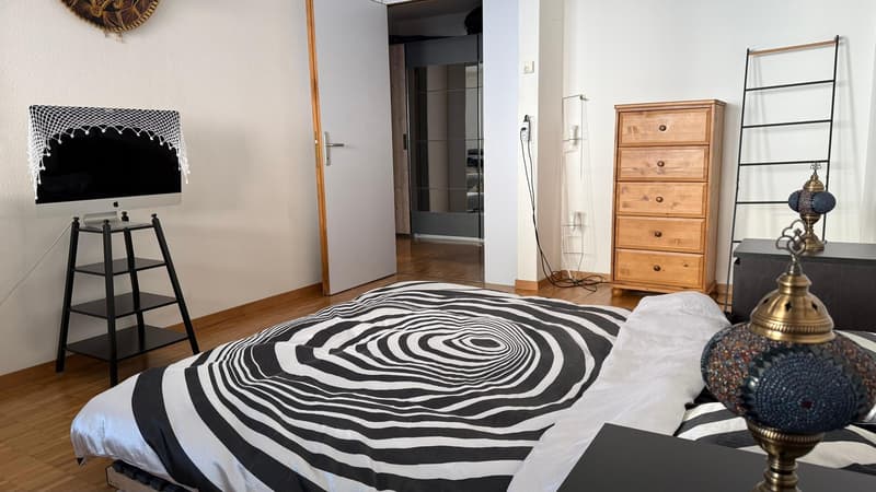 Spacious and newly renovated 3.5 rooms flat (Stauffacher) (6)