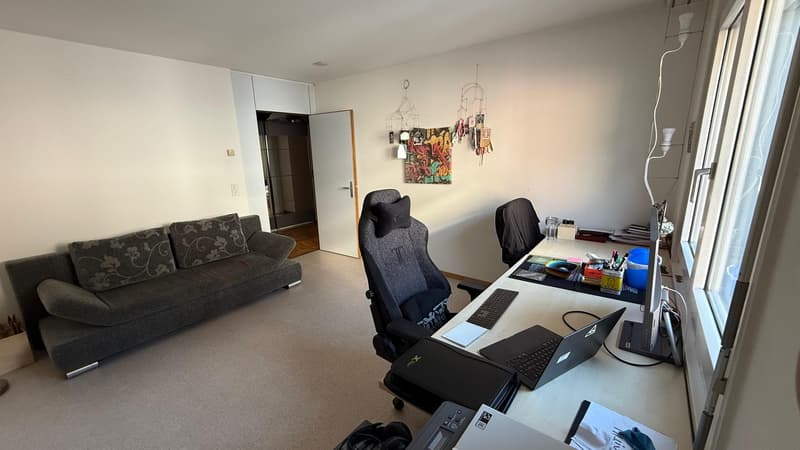 Spacious and newly renovated 3.5 rooms flat (Stauffacher) (7)
