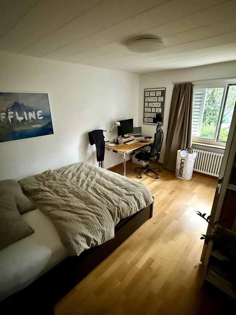 2-Zimmer Wohnung beim Heuried (2)