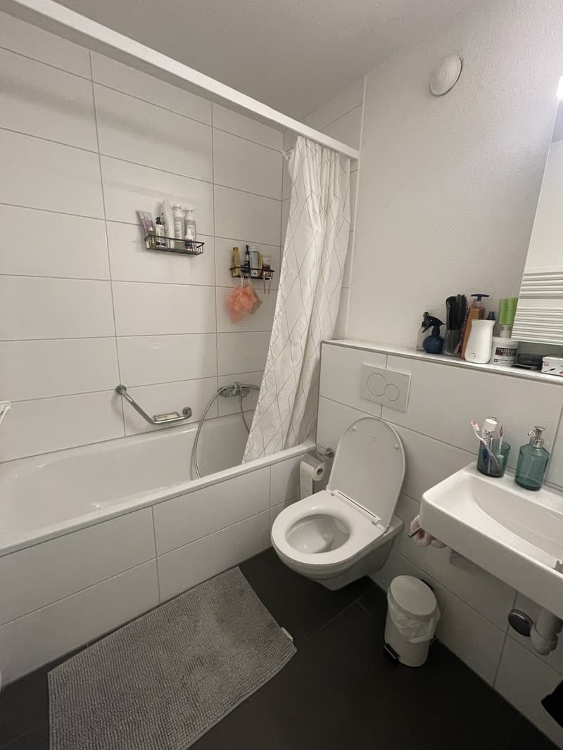 Geräumige & vollständig möblierte 3.5-Zimmer-Wohnung zur Miete in Zürich Altstetten (9)