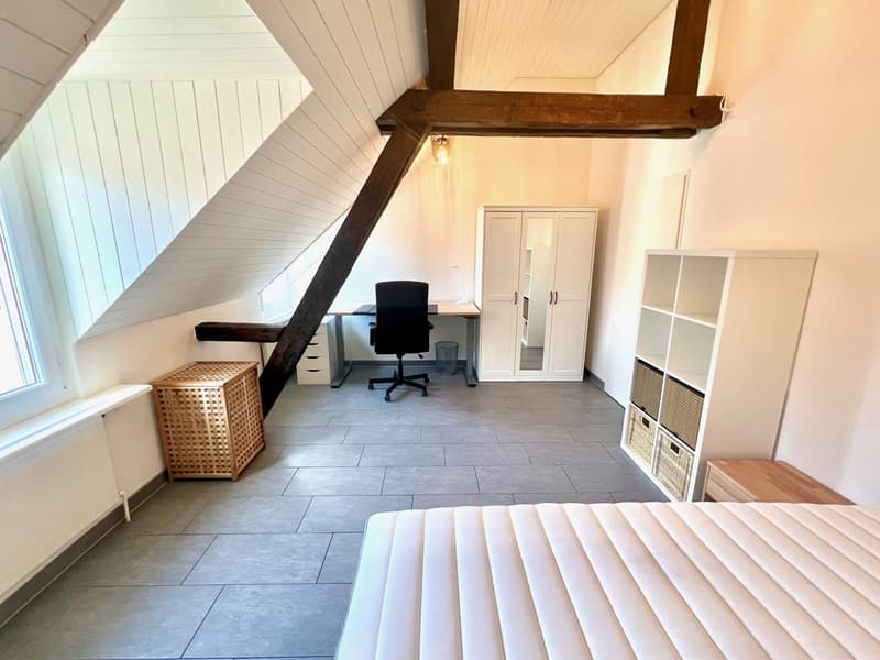 Zentrales Zimmer mit eigener Rooftop Terrace mitten im Kreis 4 :) (3)