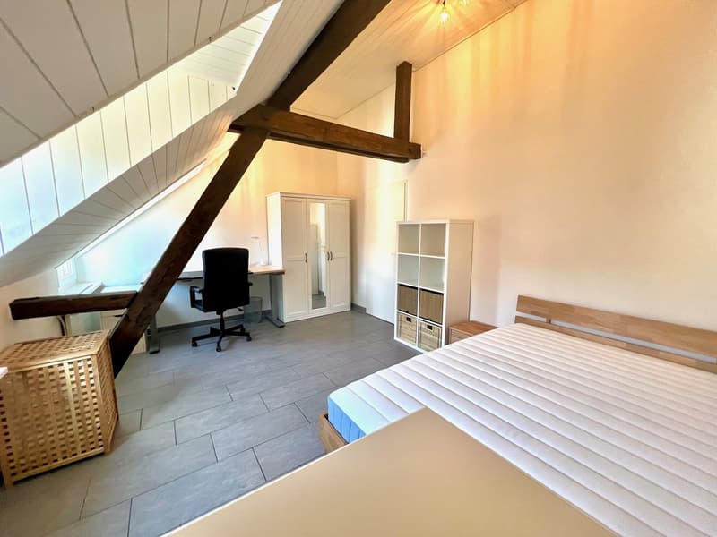 Zentrales Zimmer mit eigener Rooftop Terrace mitten im Kreis 4 :) (1)