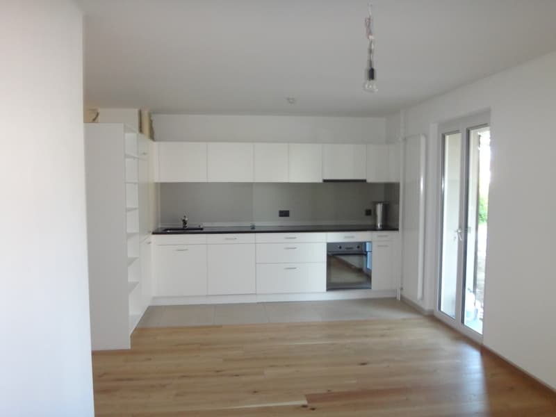 Tenant wanted for attractive apartment in Hettlingen (1)