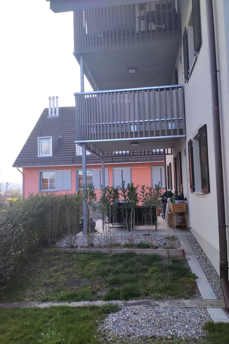 Tenant wanted for attractive apartment in Hettlingen (2)