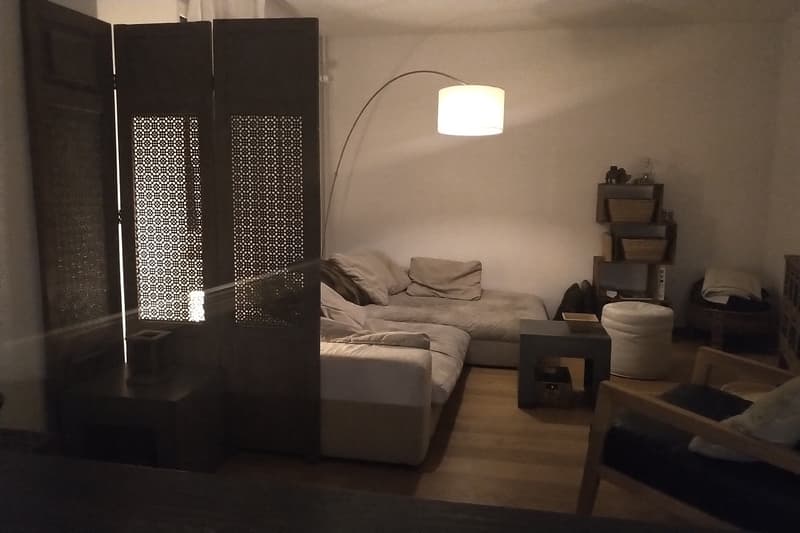 Tenant wanted for attractive apartment in Hettlingen (6)