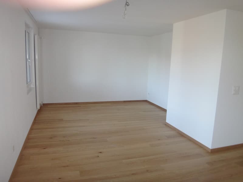 Tenant wanted for attractive apartment in Hettlingen (4)