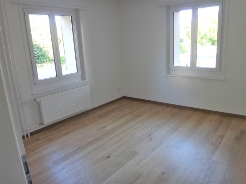Tenant wanted for attractive apartment in Hettlingen (5)