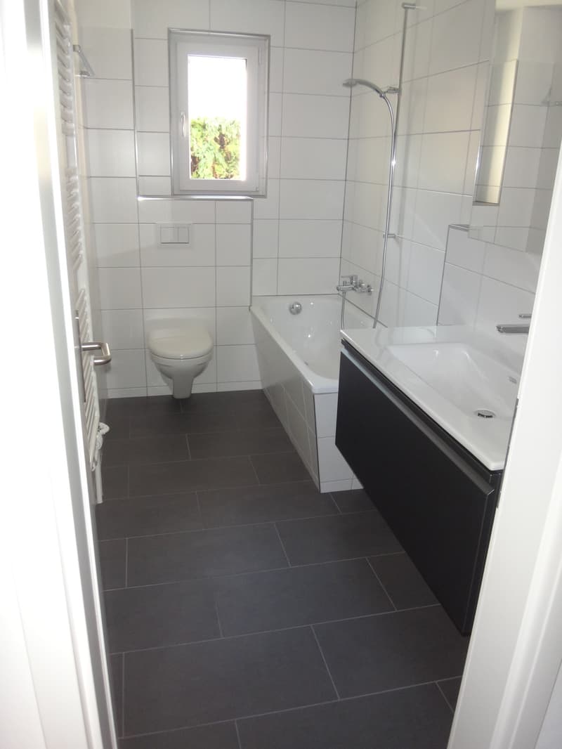 Tenant wanted for attractive apartment in Hettlingen (3)