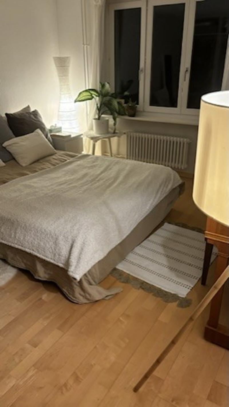 Traumwohnung am Idaplatz mit Aussicht (4)