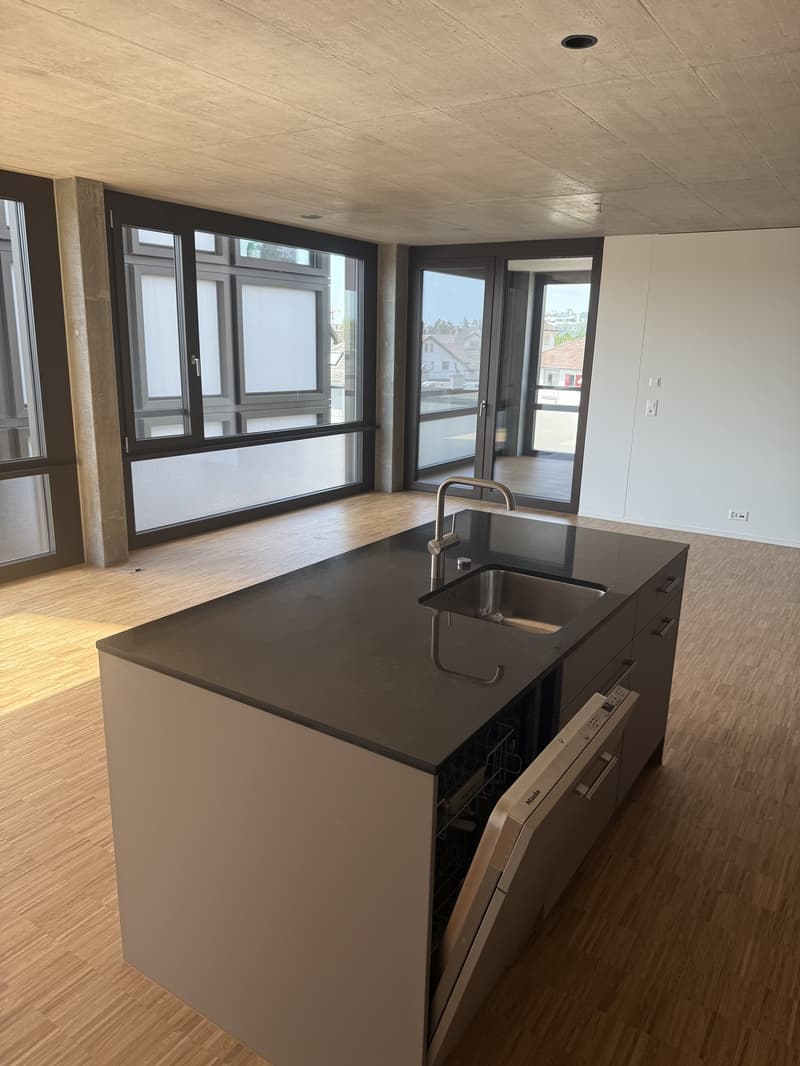 Appartamento 2.5 locali, nuovo edificio con loggia (3)