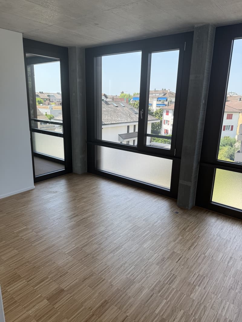 Appartamento 2.5 locali, nuovo edificio con loggia (8)