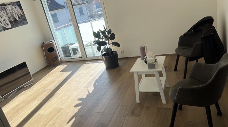 Appartamento moderno di 3 1/2 locali alla stazione di Dübendorf (3)