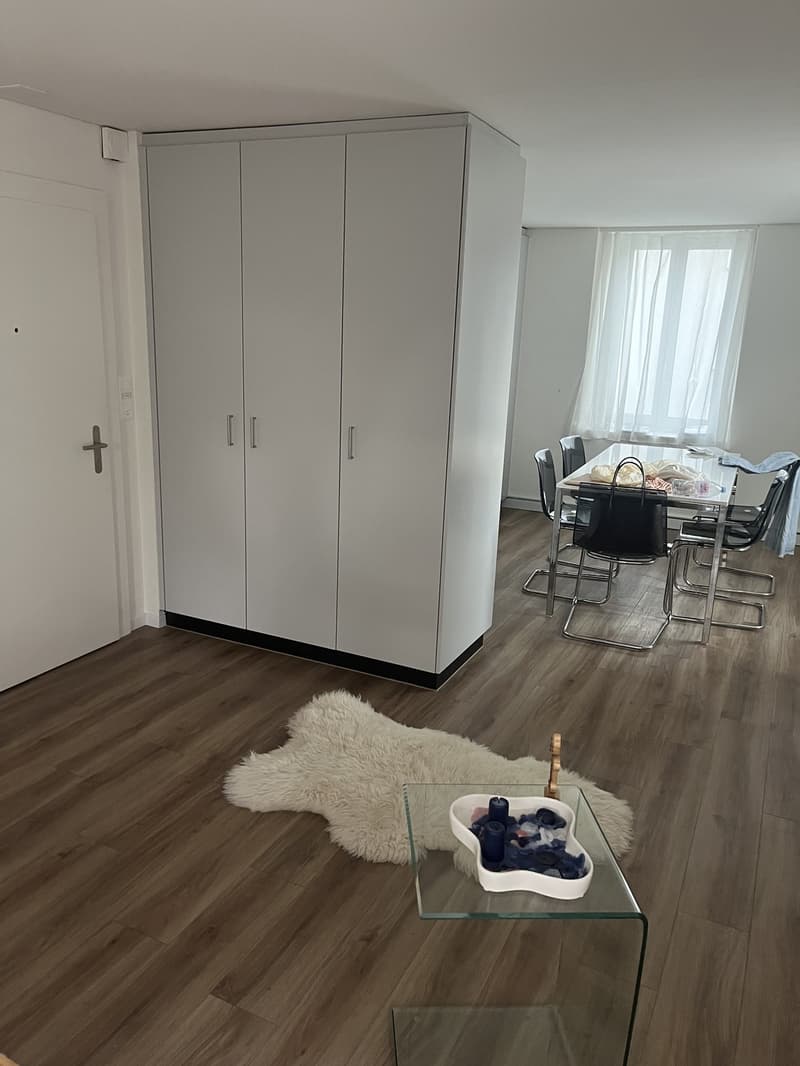 1.5 Zimmer-Wohnung 10 Gehminuten vom Bahnhof Dietikon (5)