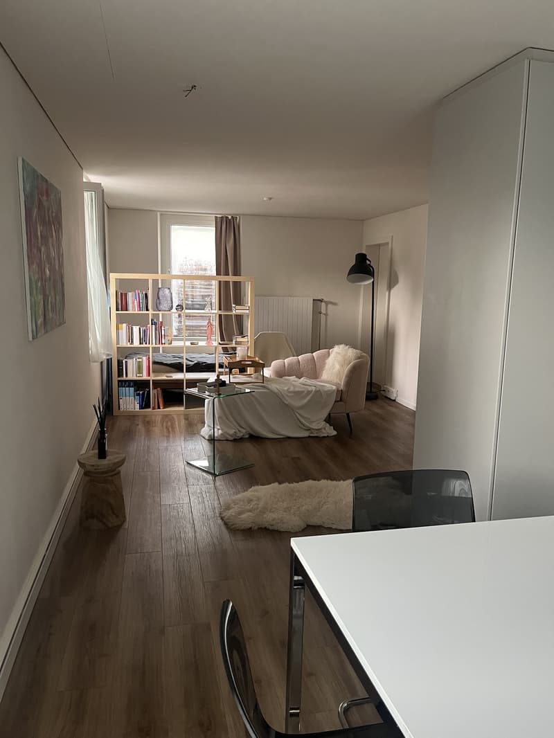 1.5 Zimmer-Wohnung 10 Gehminuten vom Bahnhof Dietikon (6)