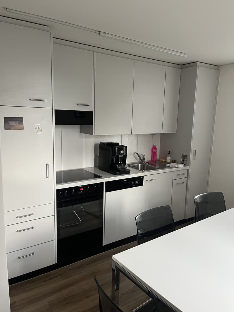 1.5 Zimmer-Wohnung 10 Gehminuten vom Bahnhof Dietikon (2)