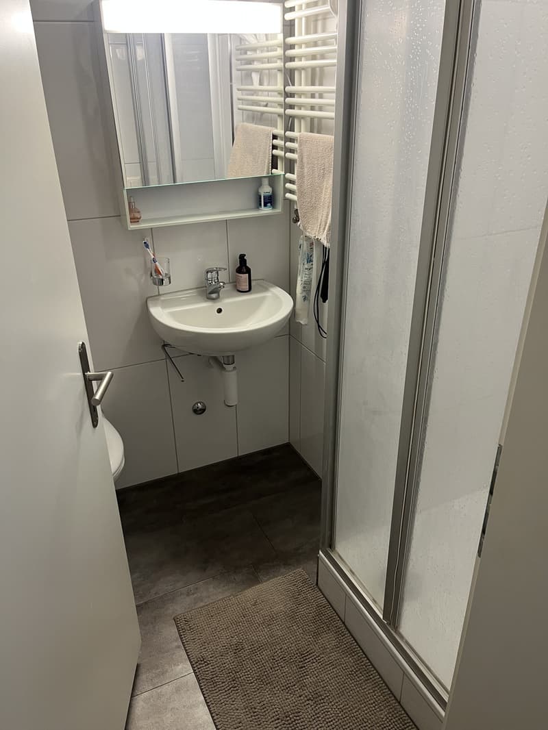 1.5 Zimmer-Wohnung 10 Gehminuten vom Bahnhof Dietikon (3)