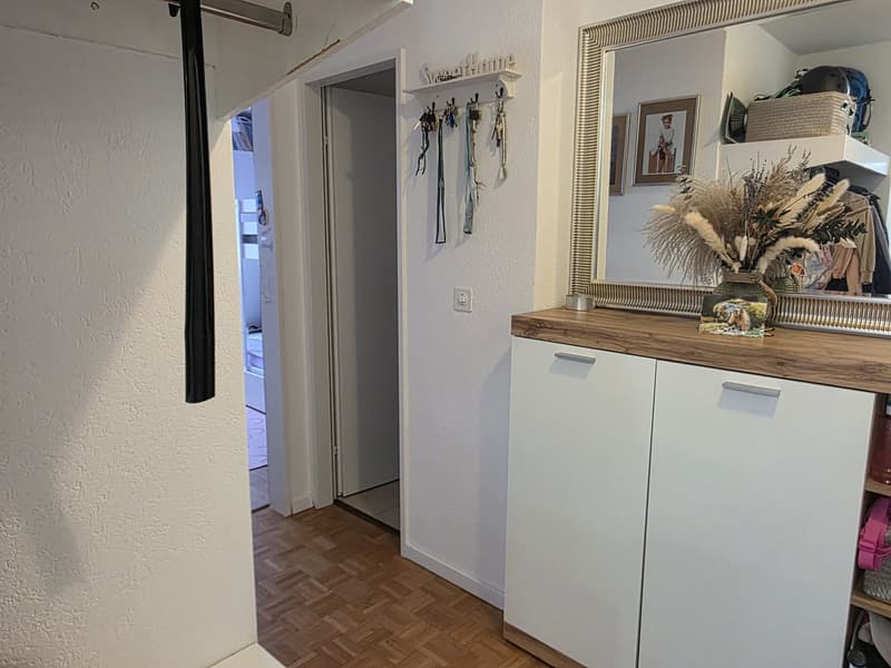 Appartamento attraente di 4,5 locali (2)