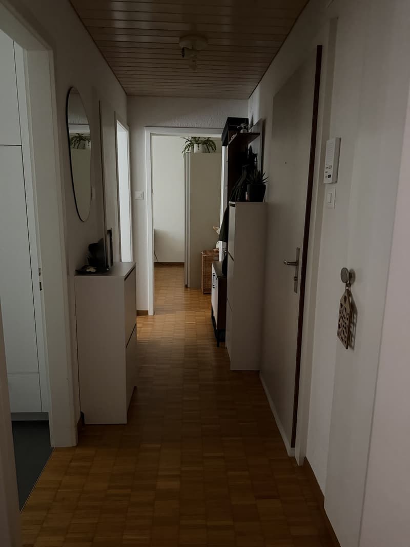 Helle 2.5-Zimmer-Wohnung in Zürich-Wiedikon (4)