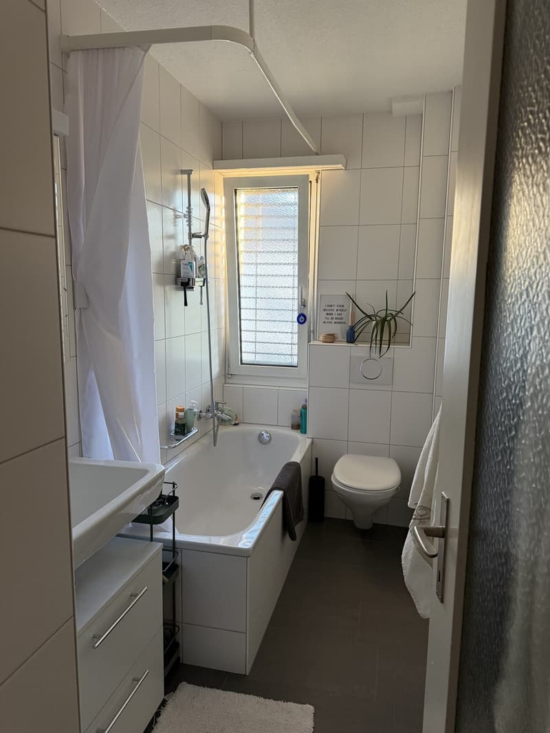 Helle 2.5-Zimmer-Wohnung in Zürich-Wiedikon (5)