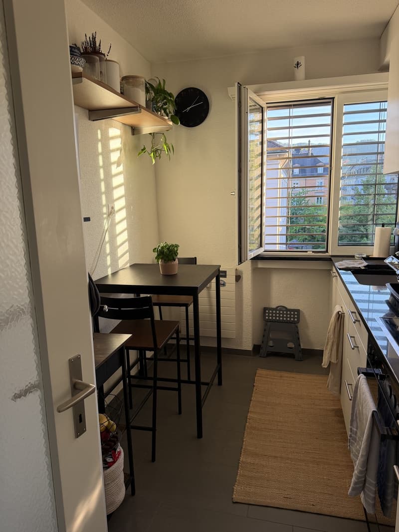 Helle 2.5-Zimmer-Wohnung in Zürich-Wiedikon (2)