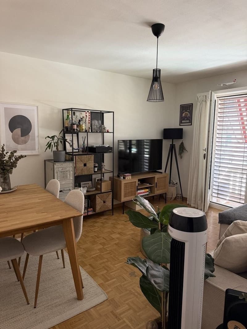 Helle 2.5-Zimmer-Wohnung in Zürich-Wiedikon (1)