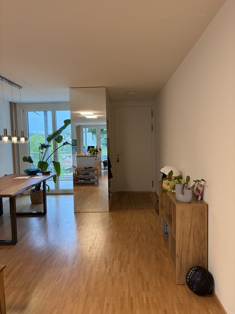 Attractive apartment in Wetzikon ZH, near the train station (7)