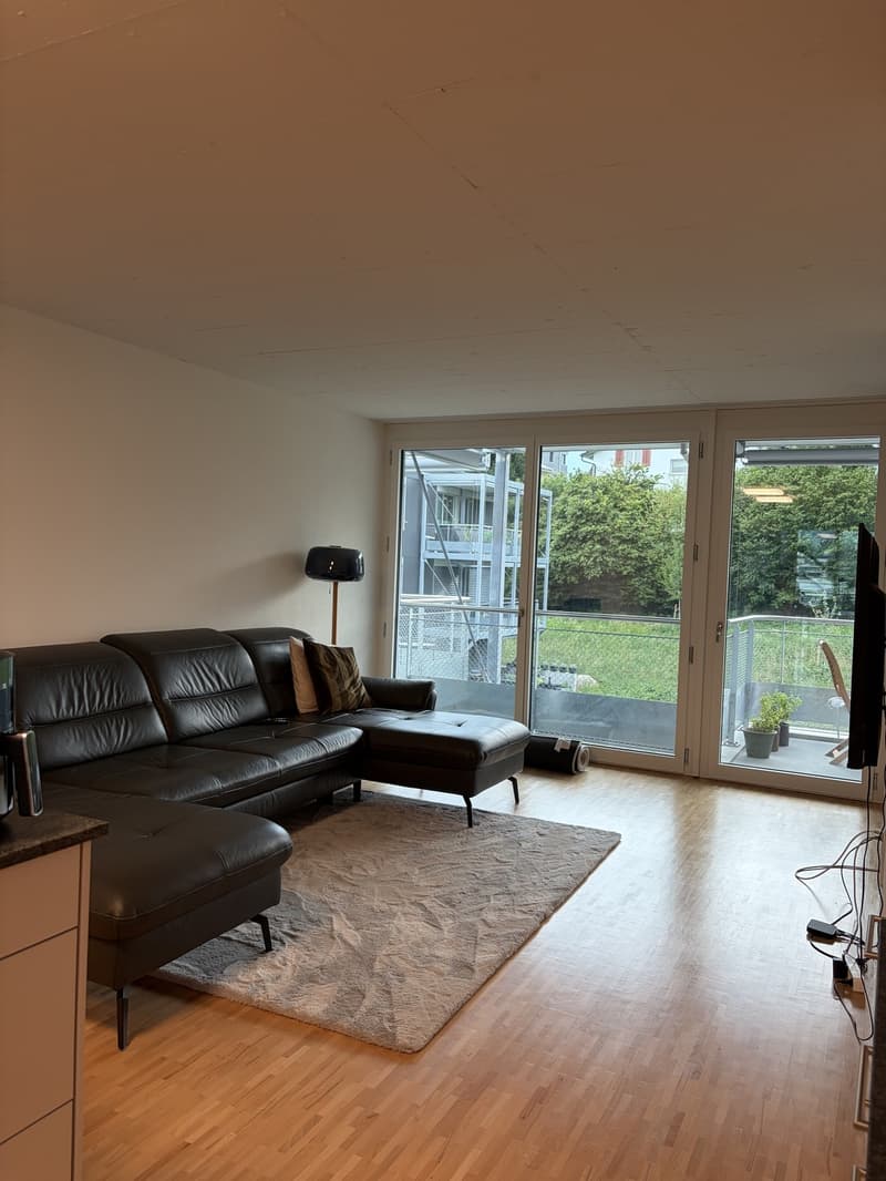 Attractive apartment in Wetzikon ZH, near the train station (8)