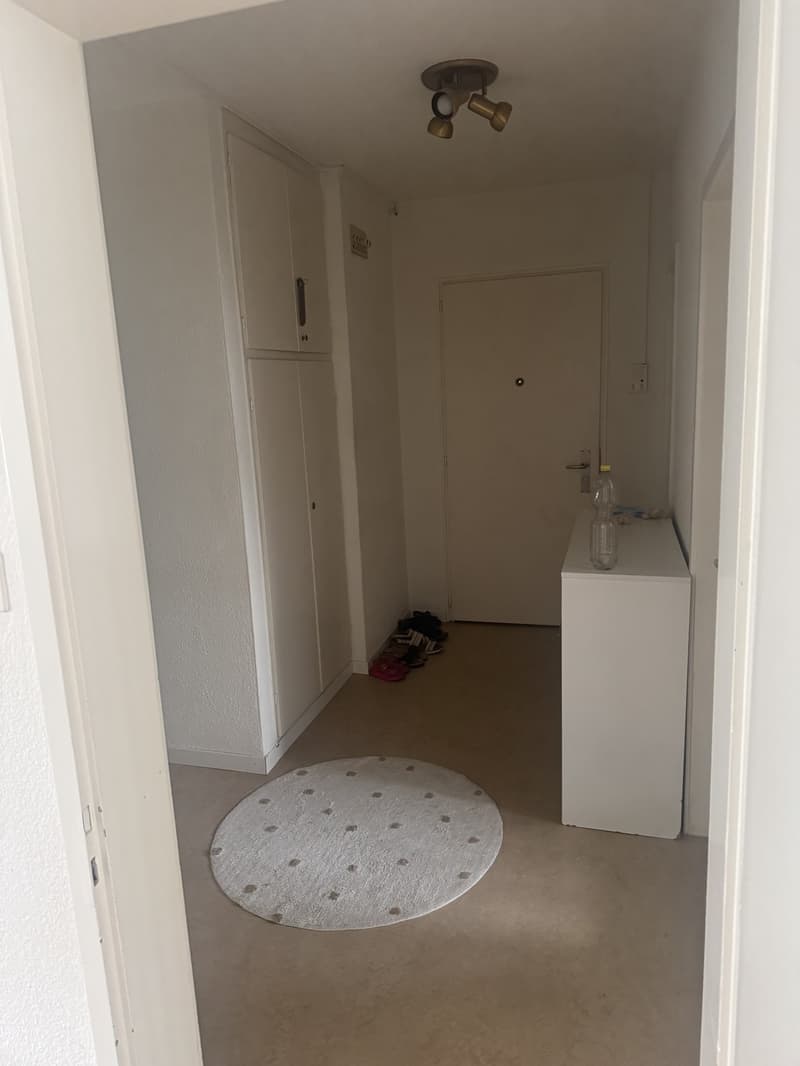 4,5 camere (9)