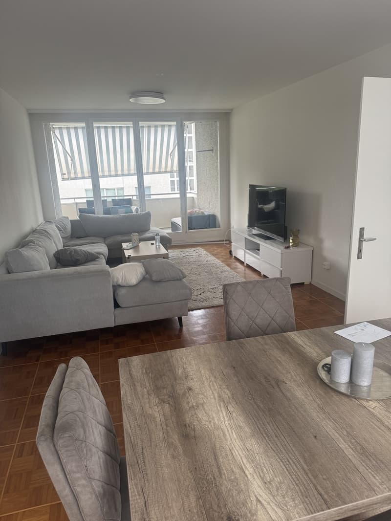 4,5 camere (7)