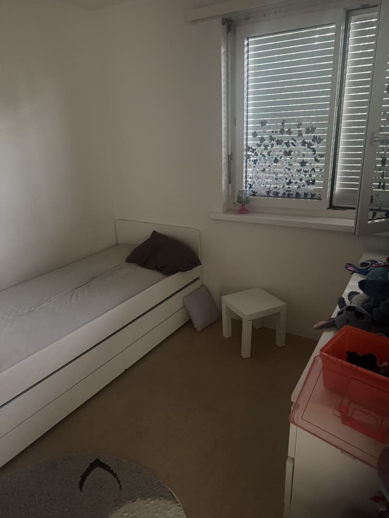 4,5 camere (8)